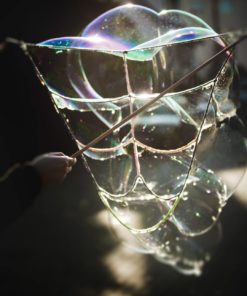 Schmetterling Bubble Photoshoot