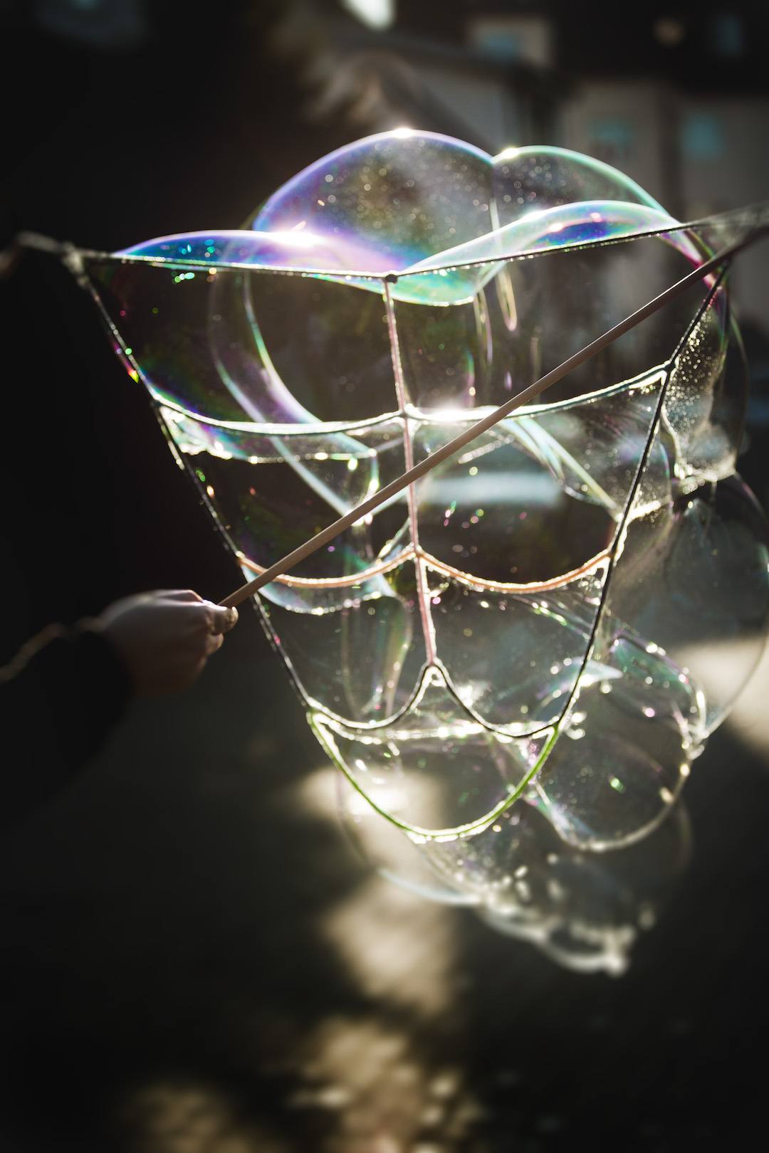 Schmetterling Bubble Photoshoot